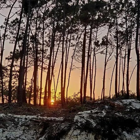 Nazare Uninterrupted Views And Sounds Of The Sea Apartmán *