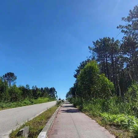 Nazare Uninterrupted Views And Sounds Of The Sea * Pataias