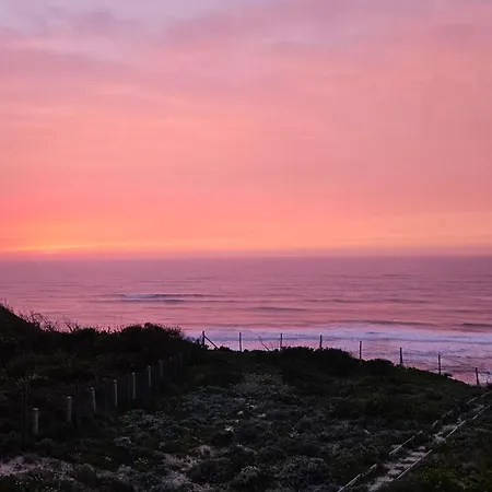 公寓 Nazare Uninterrupted Views And Sounds Of The Sea *