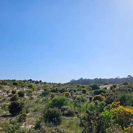 Nazare Uninterrupted Views And Sounds Of The Sea Apartmán Pataias