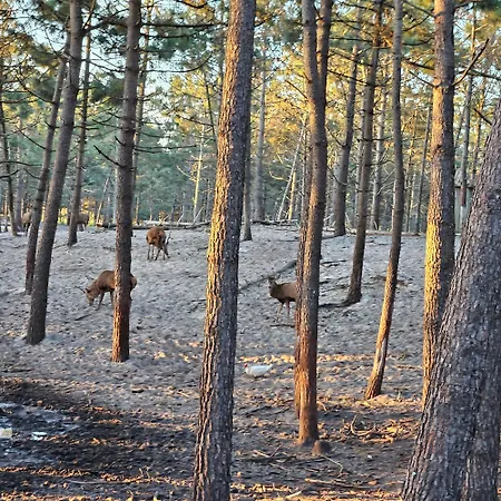 Nazare Uninterrupted Views And Sounds Of The Sea Apartmán Pataias