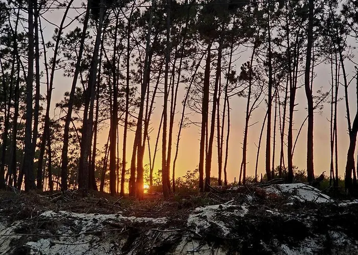 Nazare Uninterrupted Views And Sounds Of The Sea Appartement *