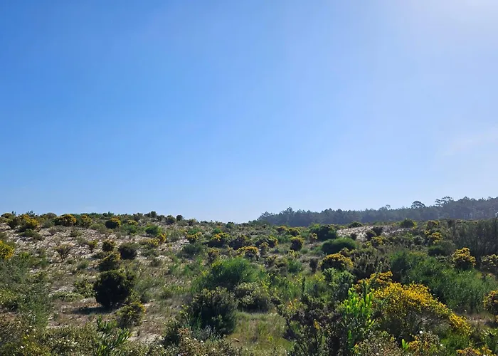 Nazare Uninterrupted Views And Sounds Of The Sea Appartement Pataias