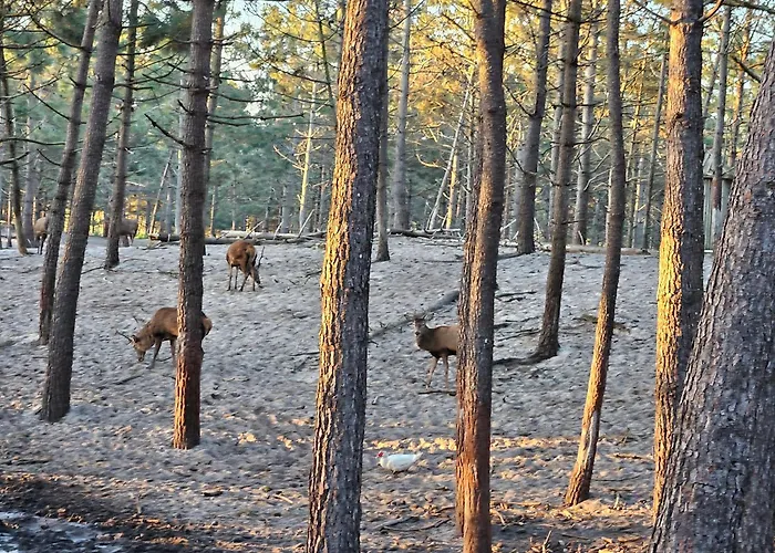 Nazare Uninterrupted Views And Sounds Of The Sea Appartement Pataias