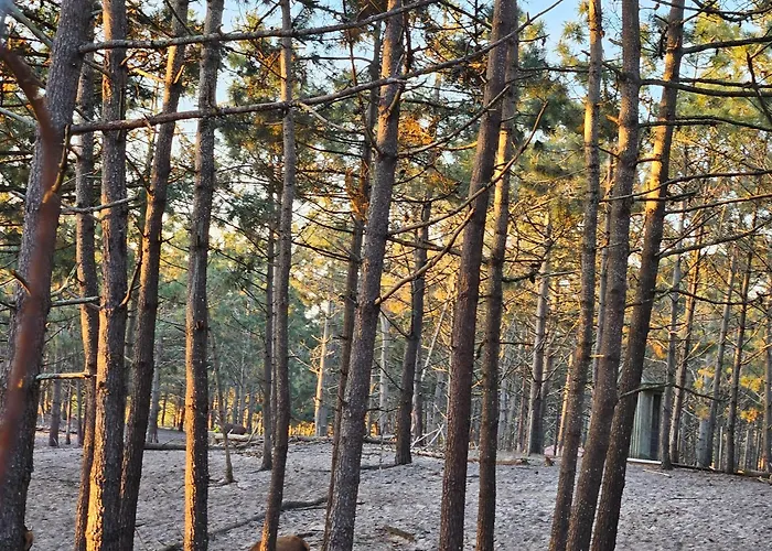 Appartement Nazare Uninterrupted Views And Sounds Of The Sea Pataias